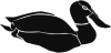 (image for) Duck