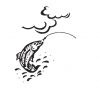 (image for) Fly Fish