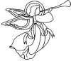 (image for) Angel
