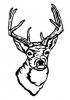 (image for) Antlers