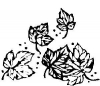 (image for) Autumn Leaves