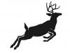 (image for) BBQ Buck