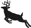 (image for) Buck