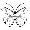(image for) Butterfly