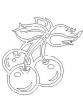 (image for) Cherries