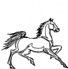 (image for) Horse