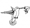 (image for) Hummingbird