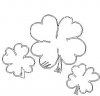 (image for) Irish Clovers