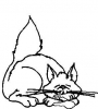 (image for) Kitty Cat