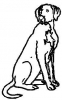 (image for) Lab
