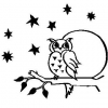 (image for) Owl