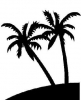 (image for) Palm Trees