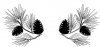 (image for) Pine Cone