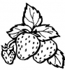 (image for) Strawberries