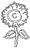 (image for) Sunflower
